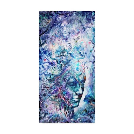 Cameron Gray 'Dreams Of Unity' Canvas Art,12x24